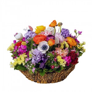 Blossom Garden, Mother's Day, Fresh Flowers, Same Day Delivery