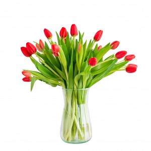 Tulips bouquet 25