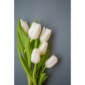 Tulips bouquet 14 