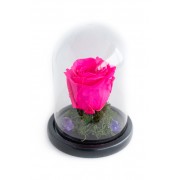 Λουλουδια Αγιου Βαλεντινου - Valentines Day - Forever Roses - Αποστολη Λουλουδιων Αυθημερον - FOREVER ROSE ΦΟΥΞΙΑ (S) E-SHOP