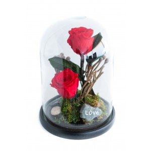 FOREVER ROSE (XL) Floral Compositions
