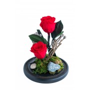 Συνθεσεις Λουλουδιων - Λουλουδια Αγιου Βαλεντινου - Valentines Day - Forever Roses - Αποστολη Λουλουδιων Αυθημερον - FOREVER ROSE (XL) Συνθέσεις Λουλουδιών