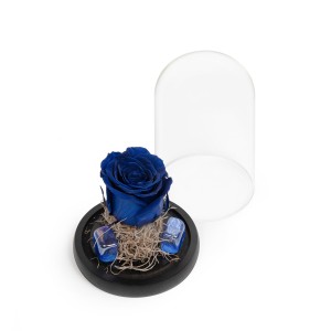 FOREVER ROSE BLUE (S)  Newborn Gifts