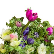 Anemone- Ανεμώνες - Αποστολη Λουλουδιων Αυθημερον - Φρ΄έσκα λουλούδια για κάθε μέρα