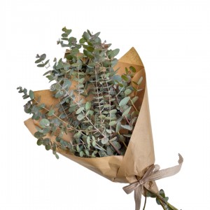 Eucalyptus Bunch - Αποστολη Λουλουδιων Αυθημερον - Φρ΄έσκα λουλούδια για κάθε μέρα