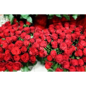 50 roses in a bouquet Μπουκέτα