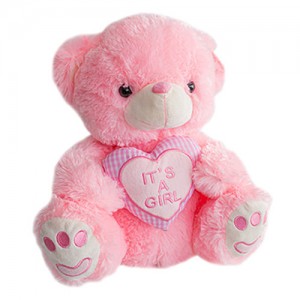 Teddy bear (L) - Girl Newborn Gifts