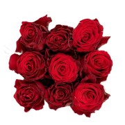 Συνθεσεις Λουλουδιων - Λουλουδια Αγιου Βαλεντινου - Valentines Day - Αποστολη Λουλουδιων Αυθημερον - ROSES CUBE 9 - Κόκκινο Γενέθλια