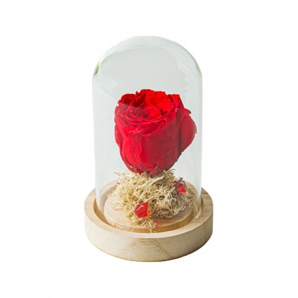 Λουλουδια Αγιου Βαλεντινου - Valentines Day - Forever Roses - Αποστολη Λουλουδιων Αυθημερον - FOREVER ROSE ΚΟΚΚΙΝΟ (S) E-SHOP