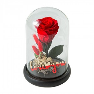 Λουλουδια Αγιου Βαλεντινου - Valentines Day - Forever Roses - Αποστολη Λουλουδιων Αυθημερον - FOREVER ROSE KOKKINO (M) E-SHOP